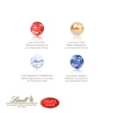 LKW Adventskalender Lindt
