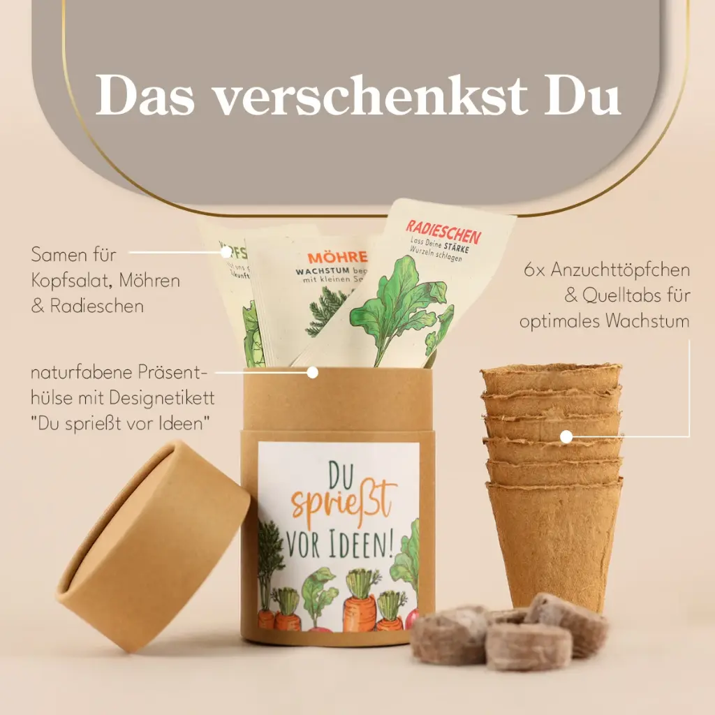 WP13519_logo_name-1_102269