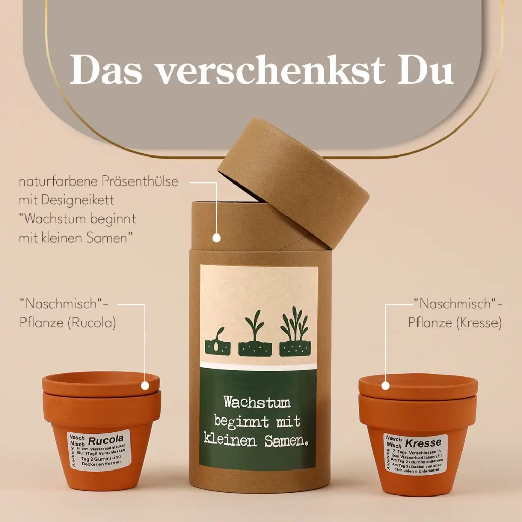 Anzuchtset "Wachstum" - Rucola & Kresse