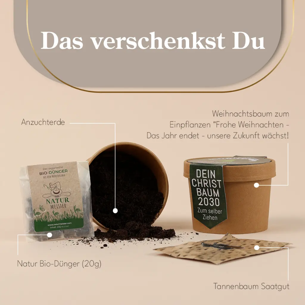 Pflanzset "Dein eigener Christbaum"
