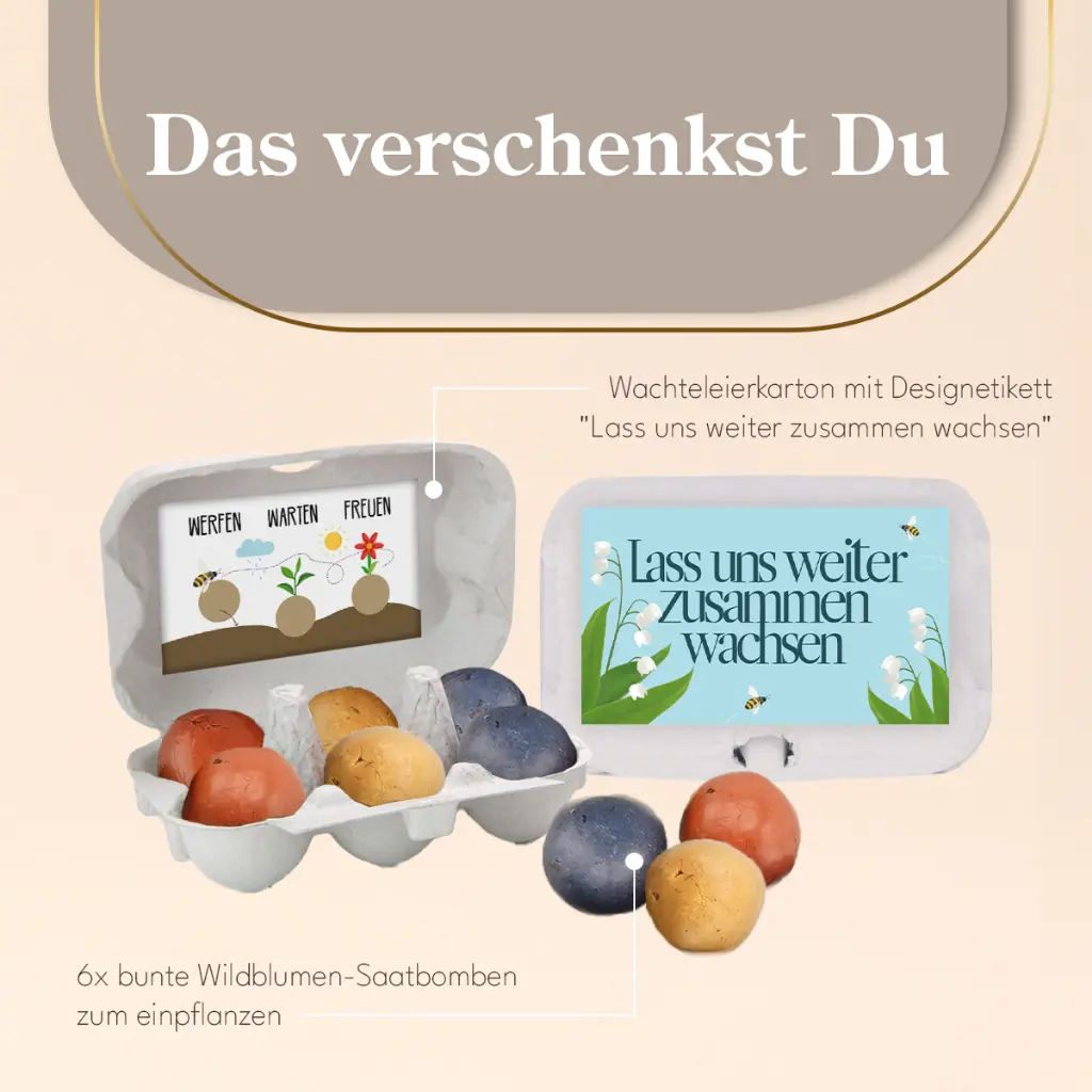 Zusammen wachsen - Saatbomben Sixpack