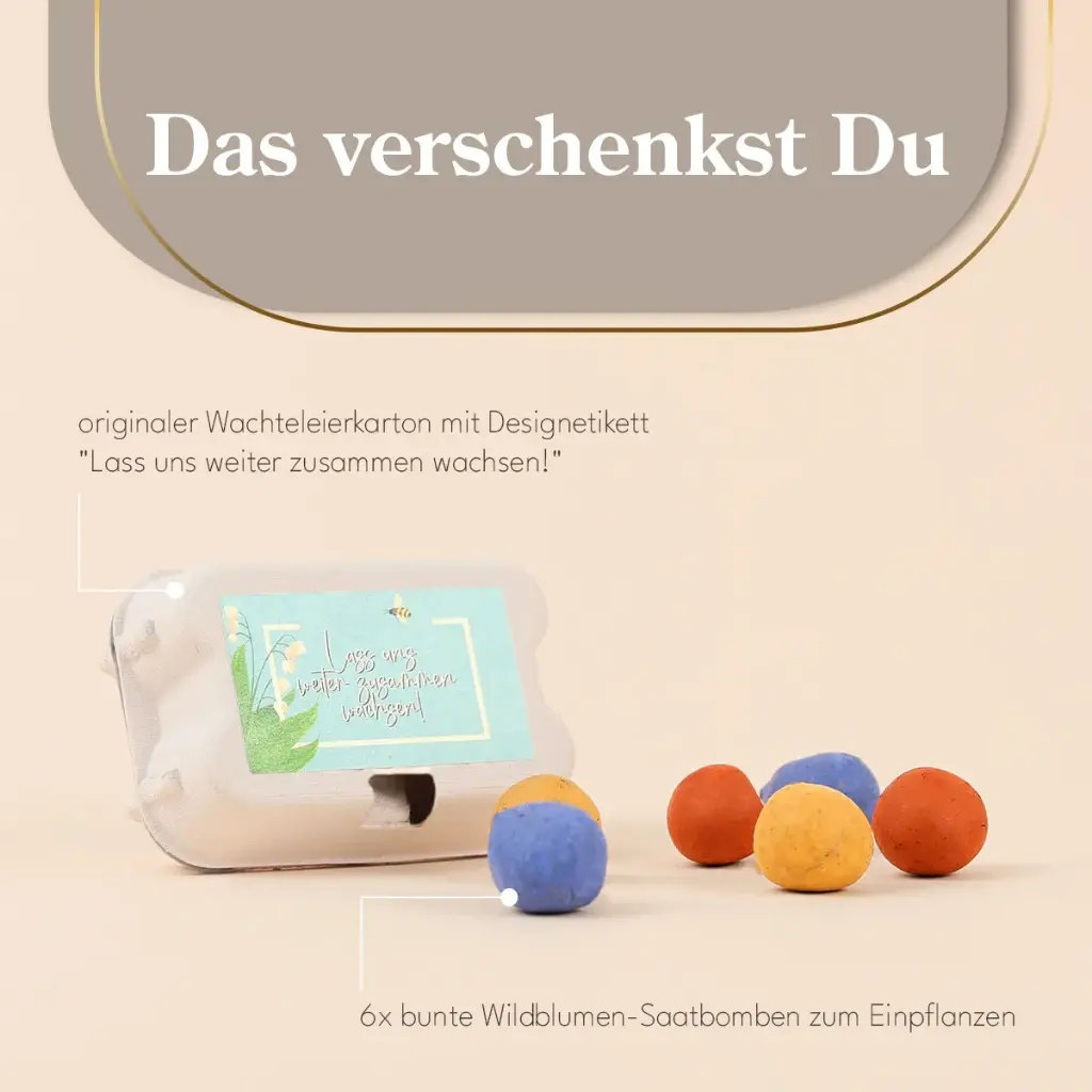 Zusammen wachsen - Saatbomben Sixpack