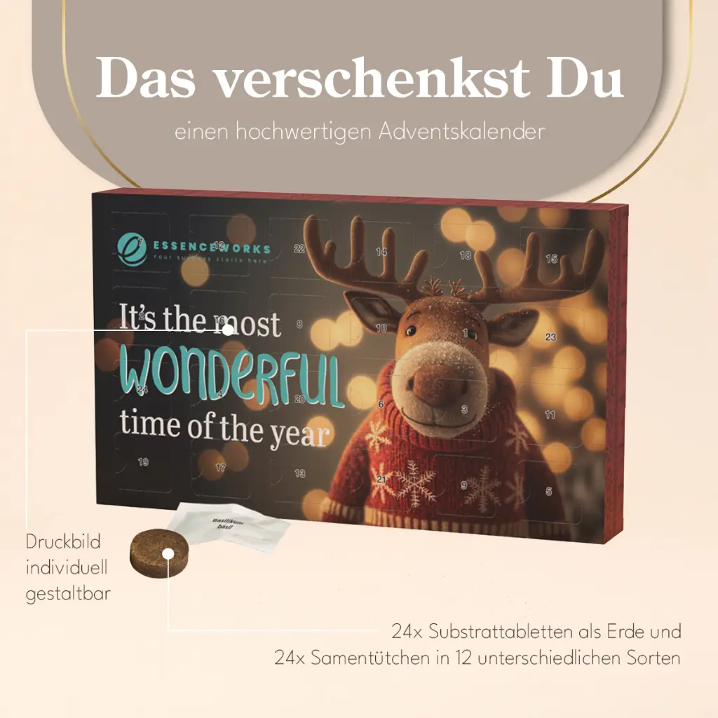 Adventskalender Eco XL Samentütchen & Substrattabletten