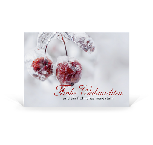 [P2399] Karte: Postkarte Eiskalter Zauber - Vogelbeeren (Wir gestalten gratis für Dich)