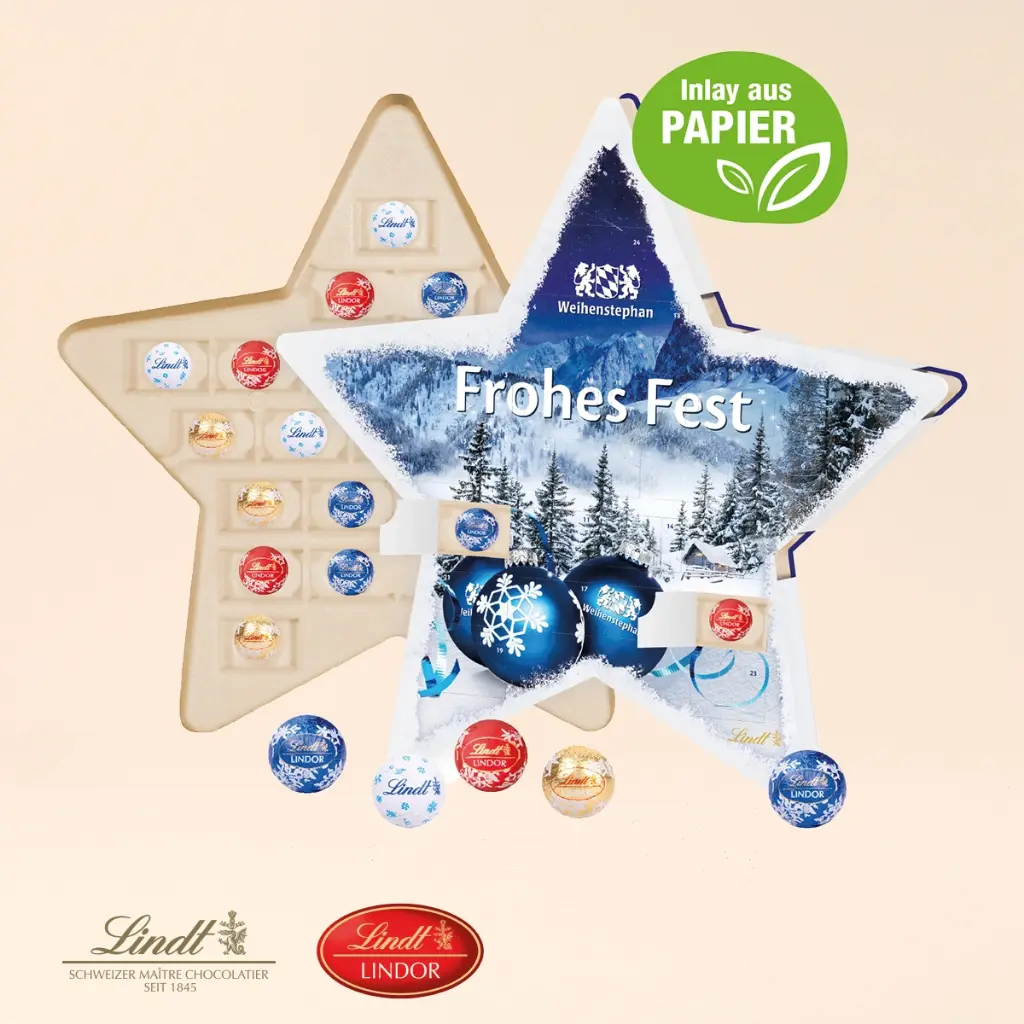 Stern Adventskalender Lindt