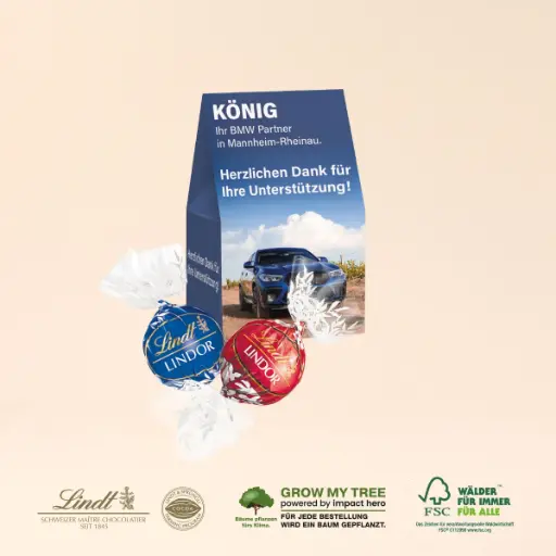 [91442] Werbepräsent "Selection Mini" mit Lindt Lindor Pralinés