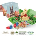 Osterpräsent Cube mit Schokolade von Lindt