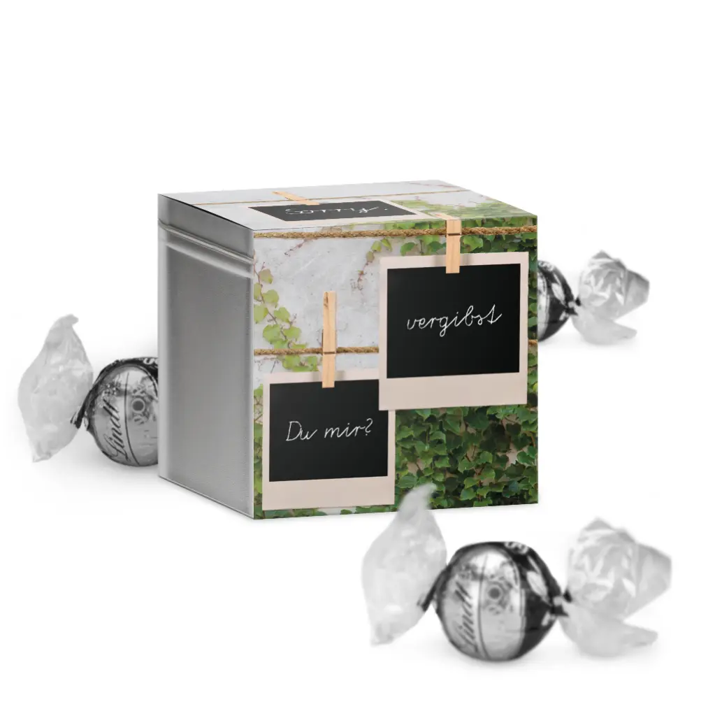 Geschenkdose "Sorry - vergibst Du mir?" - Lindt
