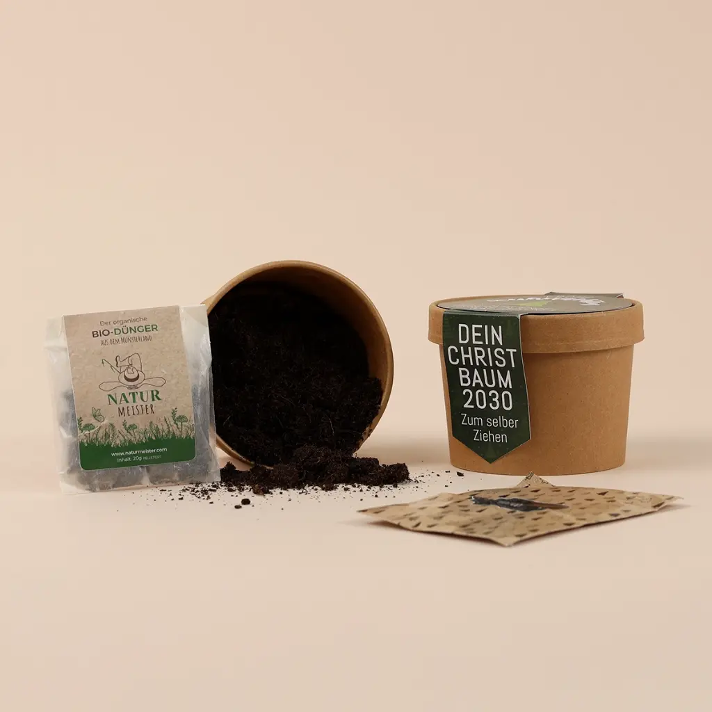 Pflanzset "Dein eigener Christbaum"