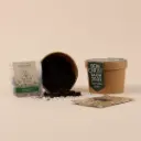 Pflanzset "Dein eigener Christbaum"