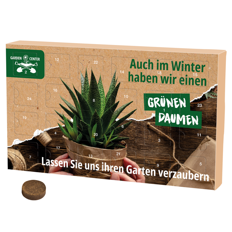 Wachsender Adventskalender Eco L