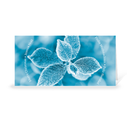 [WP5110] Karte: Rauhreife (Wir gestalten gratis für Dich)