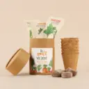 Gemüsegarten "Du sprießt vor Ideen!" - Ostern