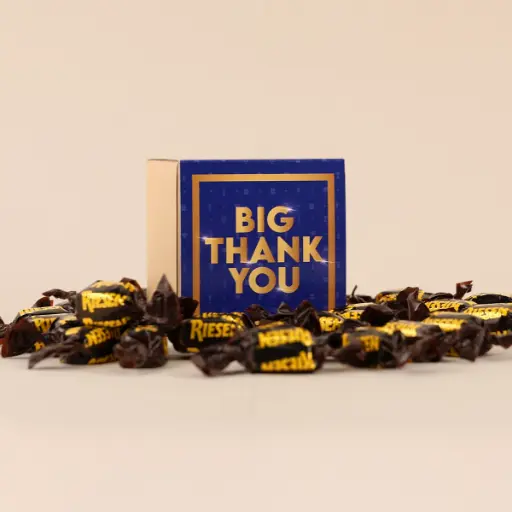 [WP13532] Geschenkbox "BIG THANK YOU"