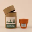 Anzuchtset "Wachstum beginnt mit kleinen Samen" - Kresse