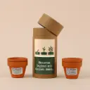 Anzuchtset "Wachstum" - Rucola & Kresse