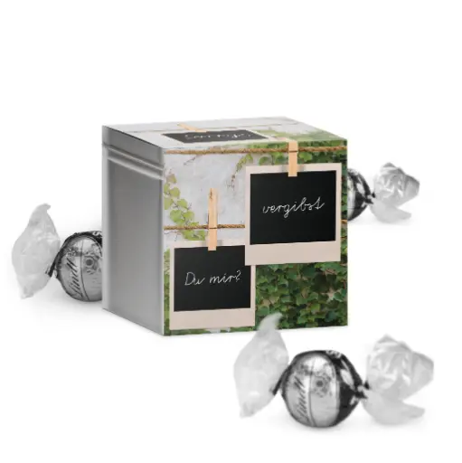[WP13281] Geschenkdose "Sorry - vergibst Du mir?" - Lindt